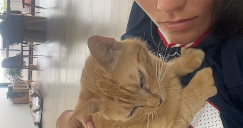 eloïse pet sitter à LYON 08 69008_2