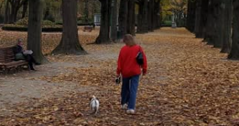 manon pet sitter à PONTOISE 95300_2
