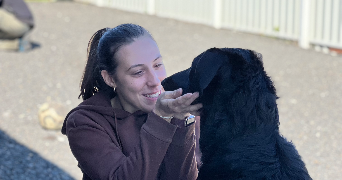 lola pet sitter à MAISONS ALFORT 94700_3