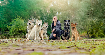 julie dog sitter à  35560