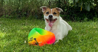 lea pet sitter à AUXY 45340_2