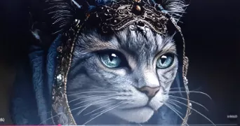 martine pet sitter à GRASSE 06130