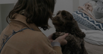 auranne pet sitter à GRABELS 34790_1
