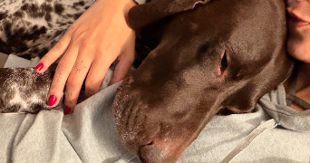 myriam pet sitter à ANZIN ST AUBIN 62223_0