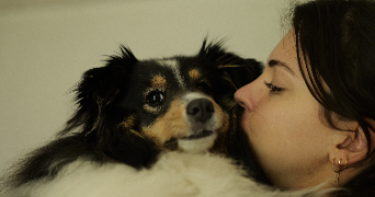 jeremy pet sitter à BAGNEUX 92220_2
