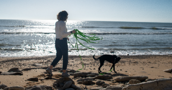 manon pet sitter à JARD SUR MER 85520_3