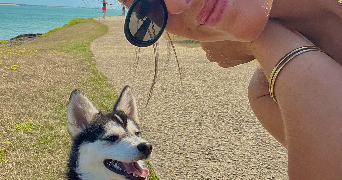 nolita pet sitter à NIORT 79000_5
