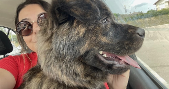natacha pet sitter à LES HOUCHES 74310_3