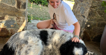 alma pet sitter à PARIS 17 75017_1
