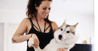 maryline pet sitter à CERCY LA TOUR 58340_0