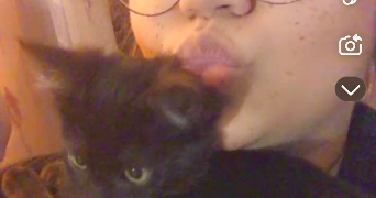 elsa pet sitter à CORBEIL ESSONNES 91100_5