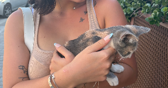 colleen pet sitter à PONT A MOUSSON 54700_1