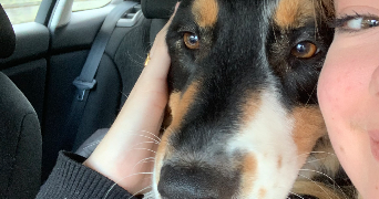 loane pet sitter à Rouen 76000_2