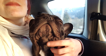 lauréline dog sitter à ST ANDRE DE BOEGE 74420_7