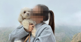 kelya pet sitter à VAULX EN VELIN 69120_1
