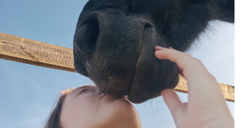 valentine pet sitter à CHERRE AU 72400_0