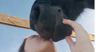 valentine pet sitter à CHERRE AU 72400