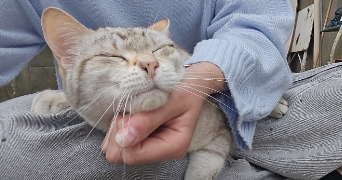 justine pet sitter à EVENOS 83330_0