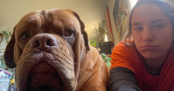 kamilla pet sitter à LE HAVRE 76600_2