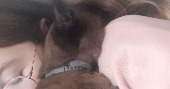 audrey pet sitter à BORDEAUX 33800_1