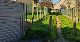 izett pet sitter à LEUVILLE SUR ORGE 91310_1