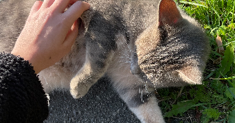 célina pet sitter à LILLE 59000_4