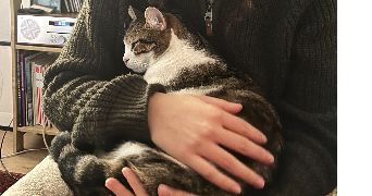 shaines pet sitter à NANTERRE 92000_2