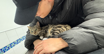 nour pet sitter à FRANCONVILLE 95130_0