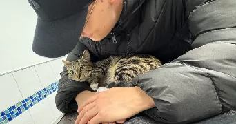 nour pet sitter à FRANCONVILLE 95130
