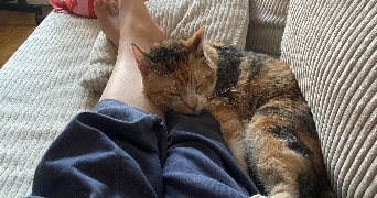 chloé pet sitter à Vincennes 94300_8