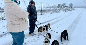 lise pet sitter à ST AMAND LES EAUX 59230_3