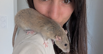 sandie pet sitter à COLOMIERS 31770_1