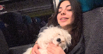 natia pet sitter à CHAUMONT 52000_0