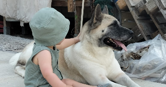 sarah pet sitter à BEAUNE LA ROLANDE 45340_2