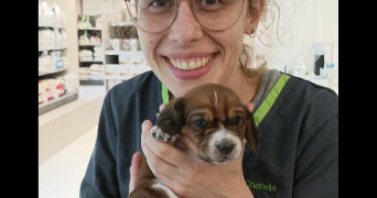 chanelle pet sitter à PAU 64000_2