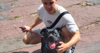 thomas pet sitter à LE HAVRE 76600_3