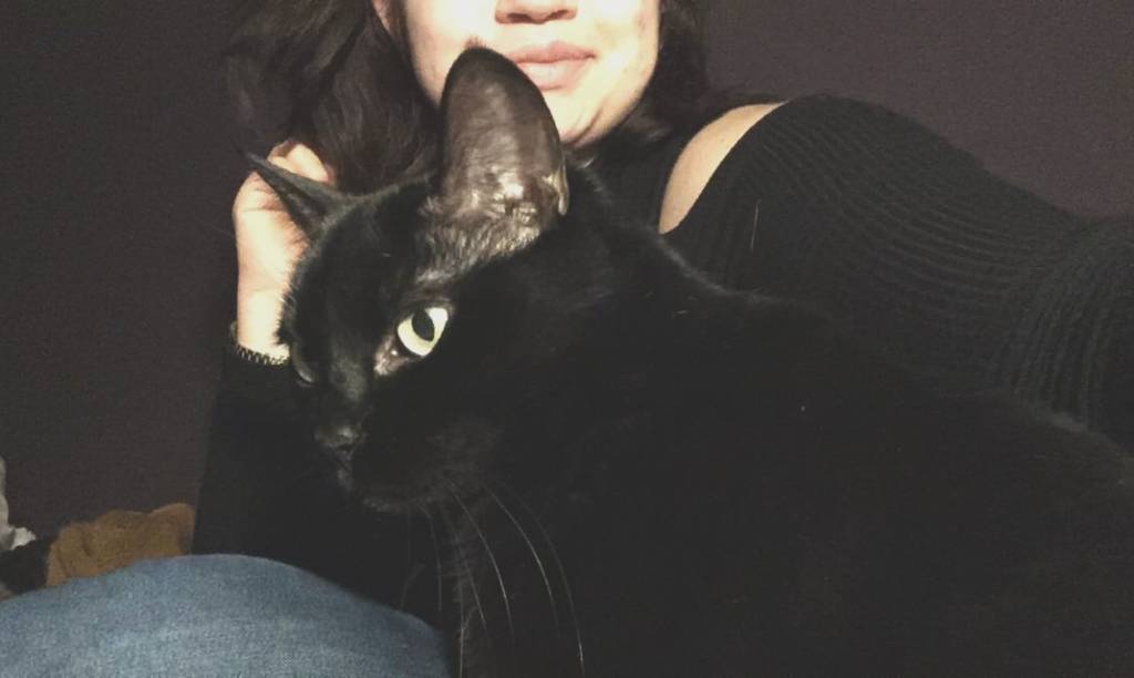 Pauline pet sitter à Gouvieux 60270_4
