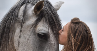 marie pet sitter à NANCRAY SUR RIMARDE 45340_5