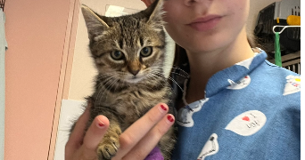 henrianne pet sitter à ANGERS 49000_4