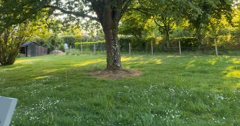 manon pet sitter à La roussiere mesnil en ouche 27270_6