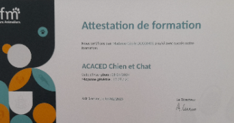 cécile pet sitter à ALBI 81000_5