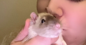 anissa pet sitter à MONTPELLIER 34070_1
