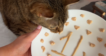 lorena pet sitter à CLERMONT FERRAND 63000_1