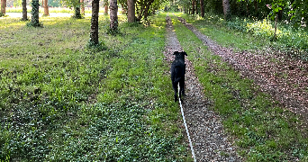 leonor pet sitter à VERSAILLES 78000_4