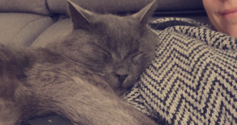 clotilde pet sitter à CERGY 95000_0