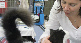 cécile pet sitter à BORMES LES MIMOSAS 83230_4