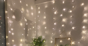 elisa pet sitter à TOULOUSE 31300_1