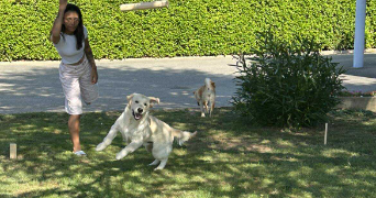 myriam pet sitter à ANNEYRON 26140_2