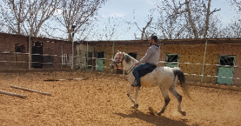 victor pet sitter à COURBEVOIE 92400_1