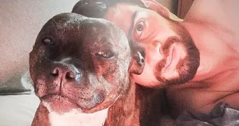 julien pet sitter à CUSSAC SUR LOIRE 43370